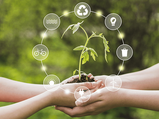 Illico Réseau est engagé pour protéger l'environnement